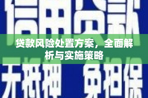 沛县贷款风险处置方案，全面解析与实施策略