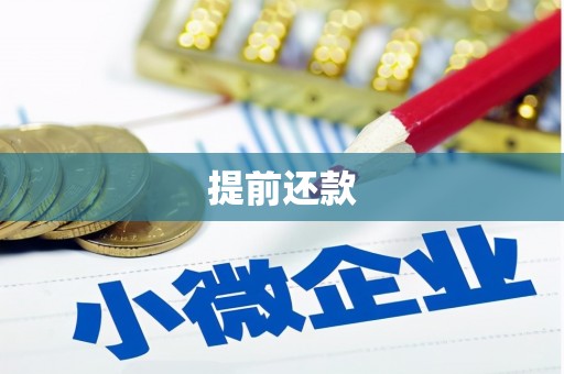 沛县提前还款